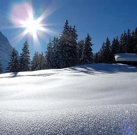 Steinbock Отель 3*