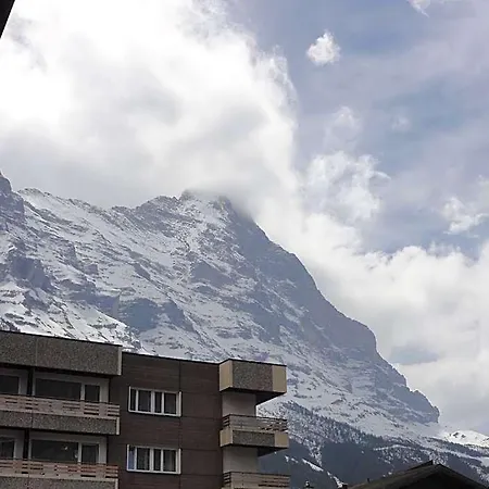 Steinbock جريندلوالد