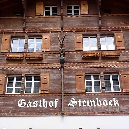 Otel Steinbock 3*