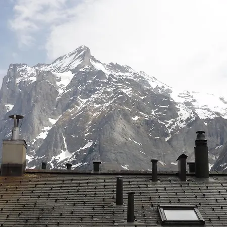 Steinbock グリンデルヴァルト