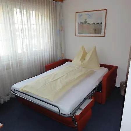 Otel Steinbock Grindelwald