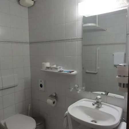 Steinbock グリンデルヴァルト