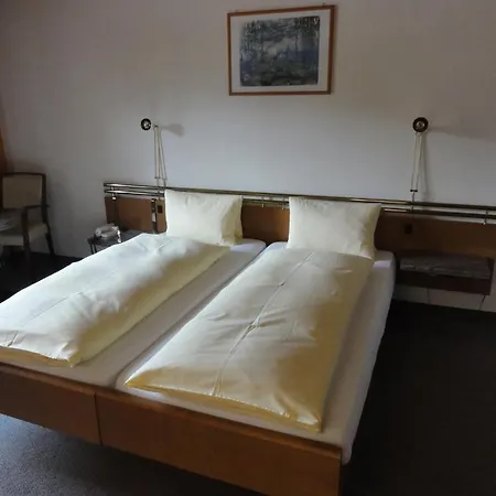 Steinbock ホテル グリンデルヴァルト