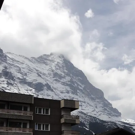 Отель Steinbock