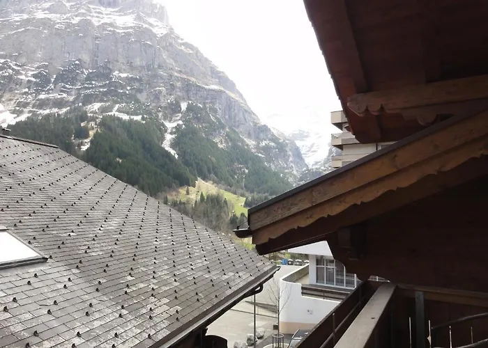 Steinbock ホテル 3*