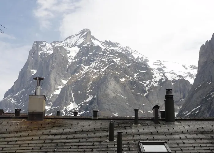 Steinbock グリンデルヴァルト