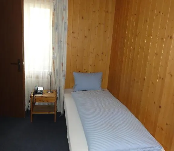 Steinbock 3* Grindelwald