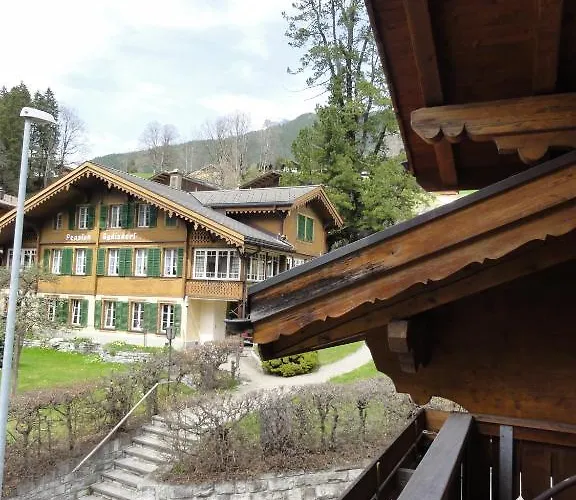 Steinbock 3* Grindelwald