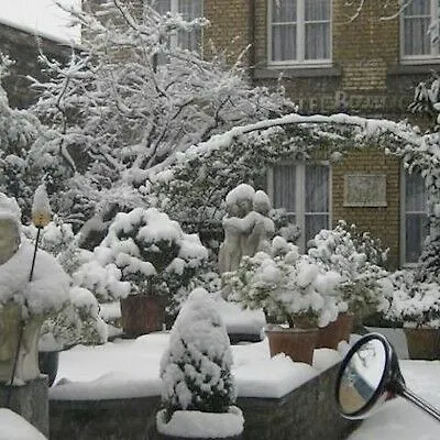 Steinbock ホテル グリンデルヴァルト