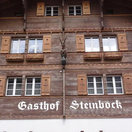 Steinbock 3* Grindelwald