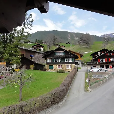 酒店 Steinbock 格林德瓦